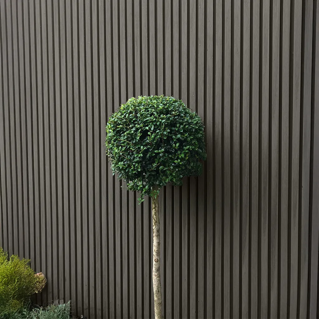 Revestimiento de Pared Exterior Wall Panel Light Grey - Image 3