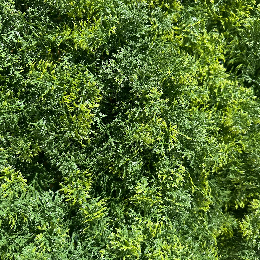 Jardín Vertical Cipres - Imagen 5